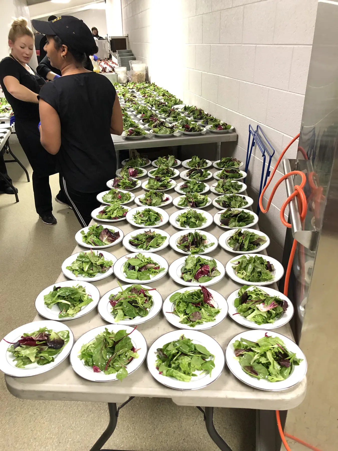 Rows of prepared plated salads ready for service.